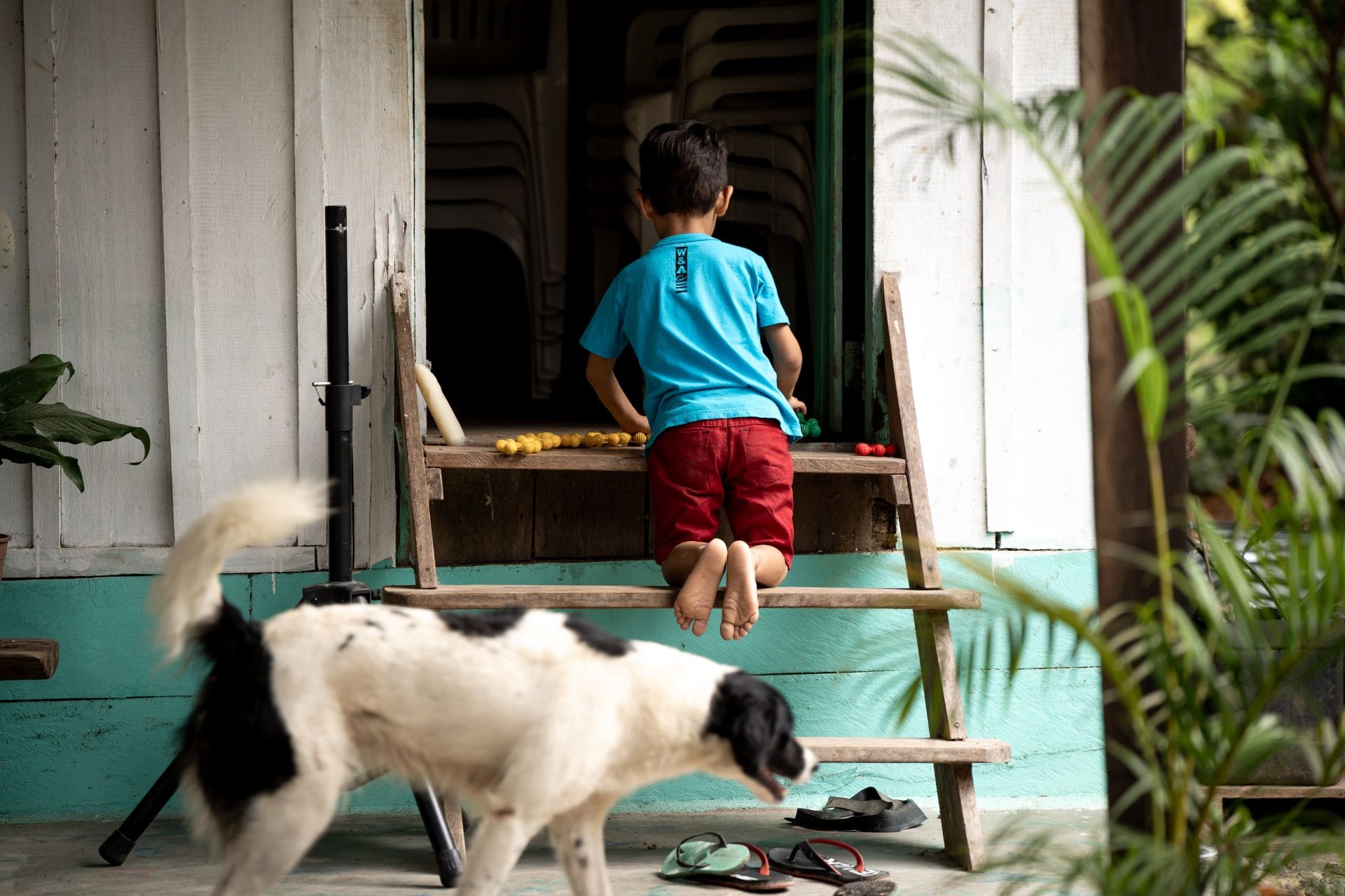 Menino e cachorro na varanda